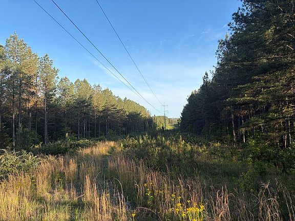 3rd image of 68 Black Bear Ln