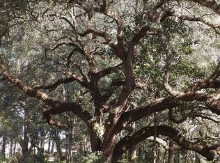 278 SW Oakdale Rd, Mayo, FL 32066