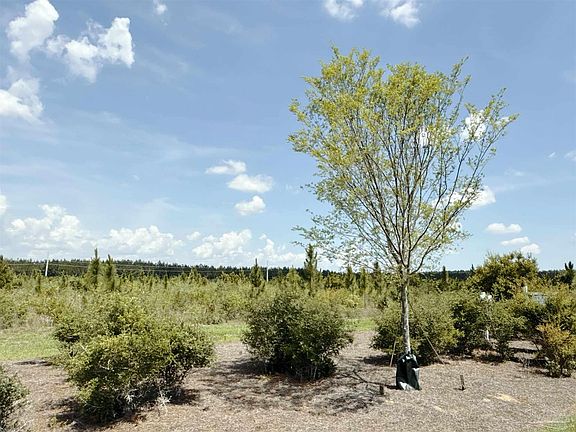 5th image of 57 S Timber Ln
