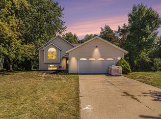 11382 Cameron Ave, Allendale, MI 49401
