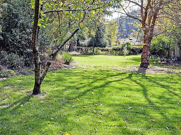 Lawn