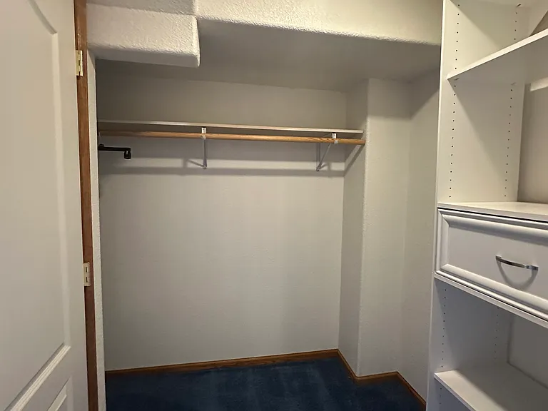 Basement closet (flooring to be updated)