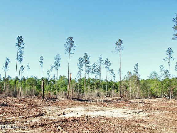 5th image of Little Cedar Rd Lot 15