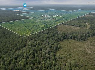 363 Rockhill To Lumberton Rd, Purvis, MS 39475