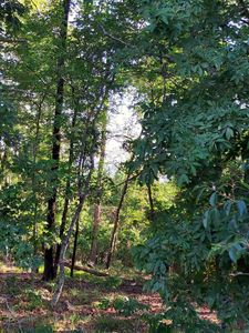 37 Pertusa Dr, Hot Springs Village, AR, 71909
