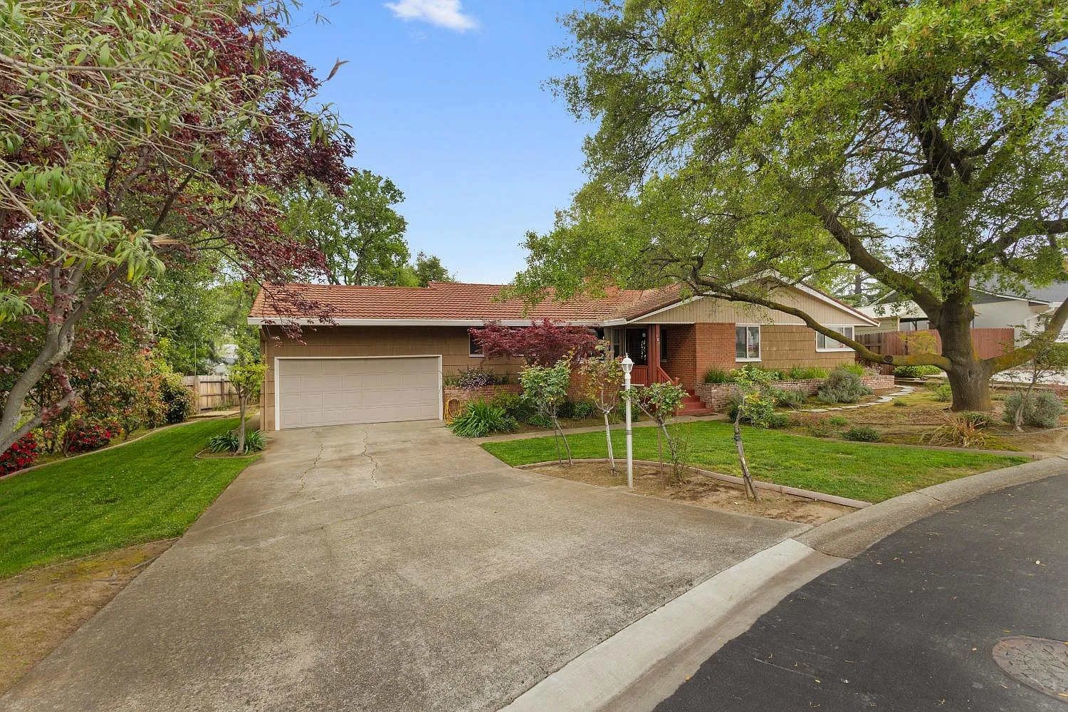 905 Camelia Ave photo 1