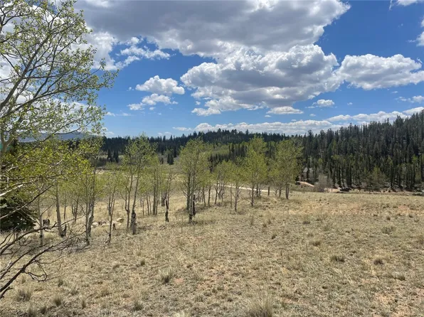 636 Sharps Way, Como, CO 80456