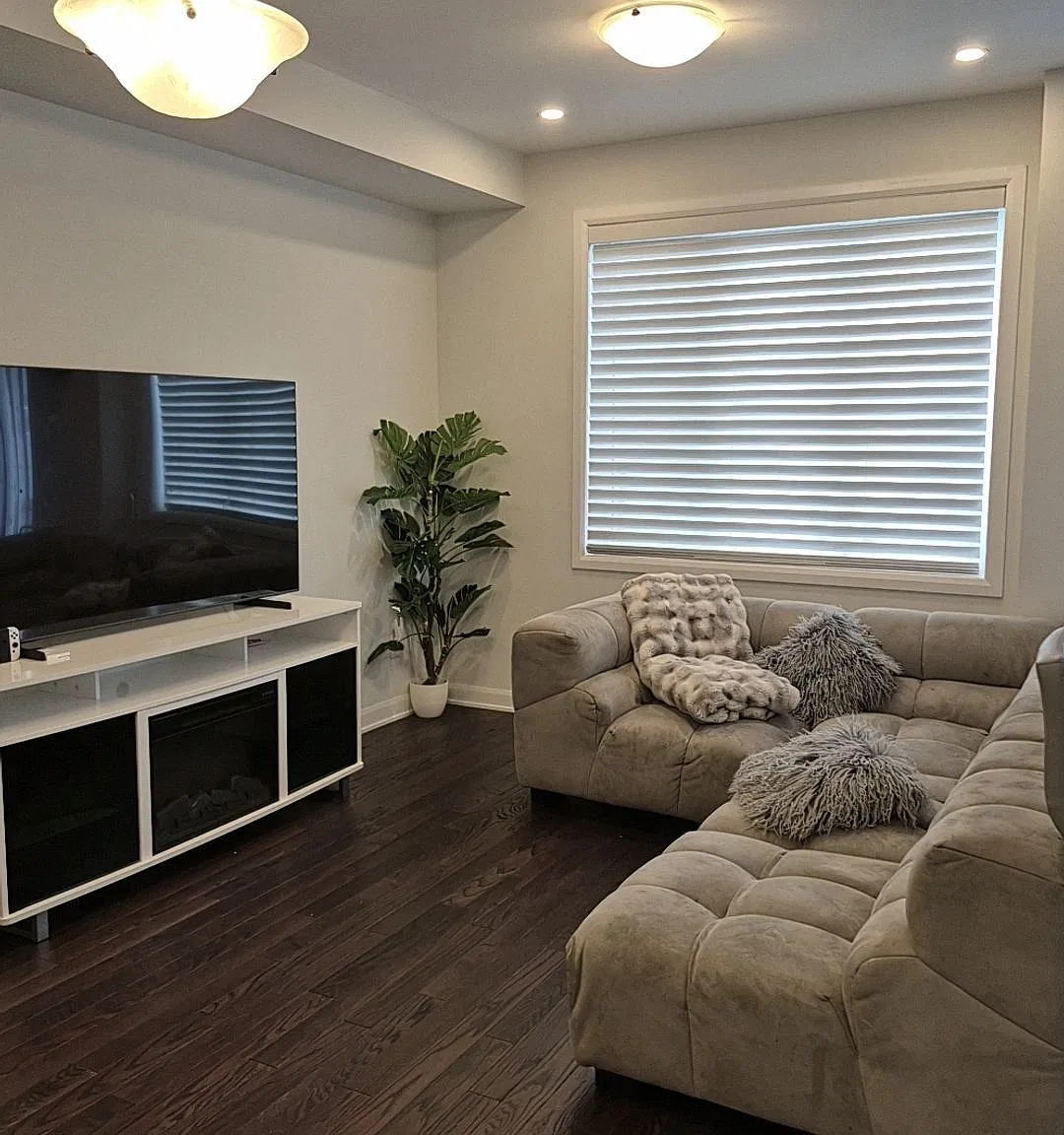 3 bed, $2,650 — Photo 4