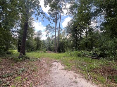 0 Shady Ln, Rebecca, GA, 31783
