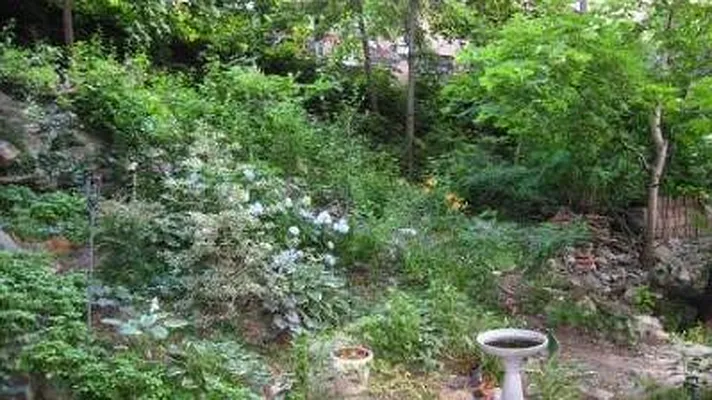 Sold by Citi Habitats | media 7