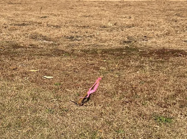 N/w Fleatown Rd, Lincoln, DE 19960