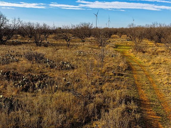 Dji 20260219084604 0696 D