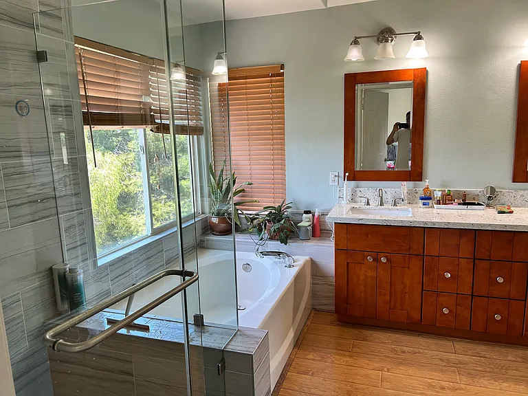 Master bathroom