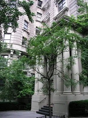 Sold by Nest Seekers International | media 19