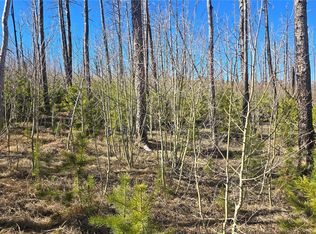 Lot 1470 Von Heyl Lane, Fort Garland, CO 81133