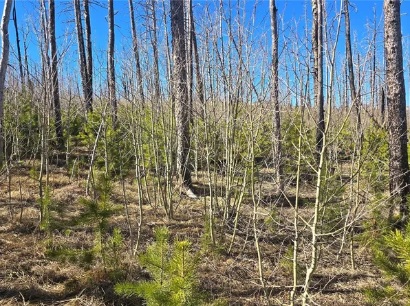 Lot 1470 Von Heyl Lane, Fort Garland, CO 81133