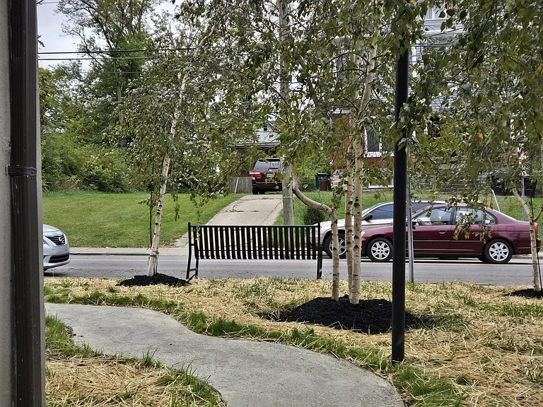 342 Forest Ave #C1 — Photo 33