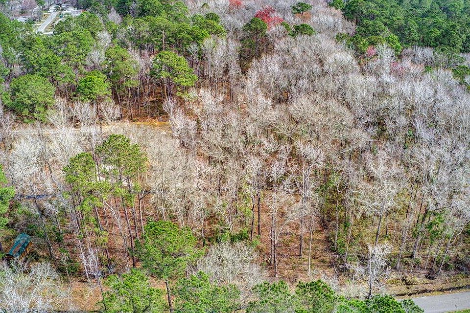 2nd image of 175 Tuskegee Dr