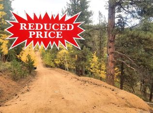 342 Brown St, Bailey, CO 80421