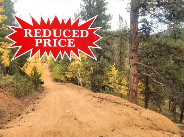 342 Brown St, Bailey, CO 80421