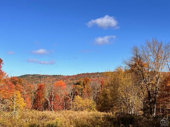 0 Knox Lane, Austerlitz, NY 12017