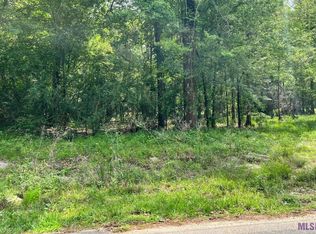28650 Magnolia Dr, Walker, LA 70785