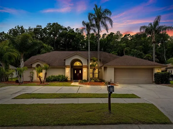 450 Waterford Cir E, Tarpon Springs, FL 34688