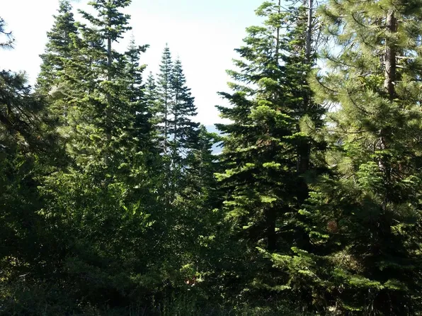 1686 Skyline Dr, Arnold, CA 95223