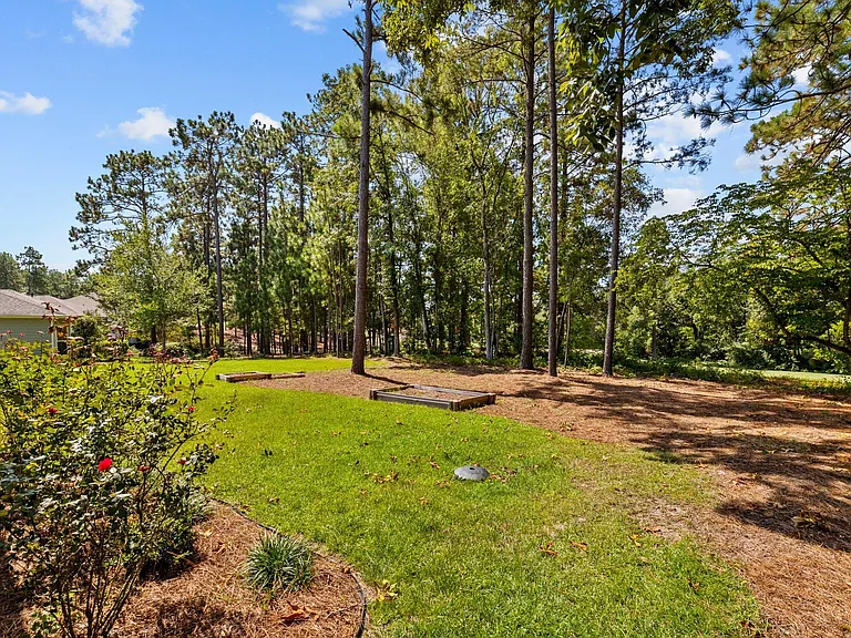 Part of the back yard with rose bushes at left and pine straw at right with the 7th fairway past the trees.