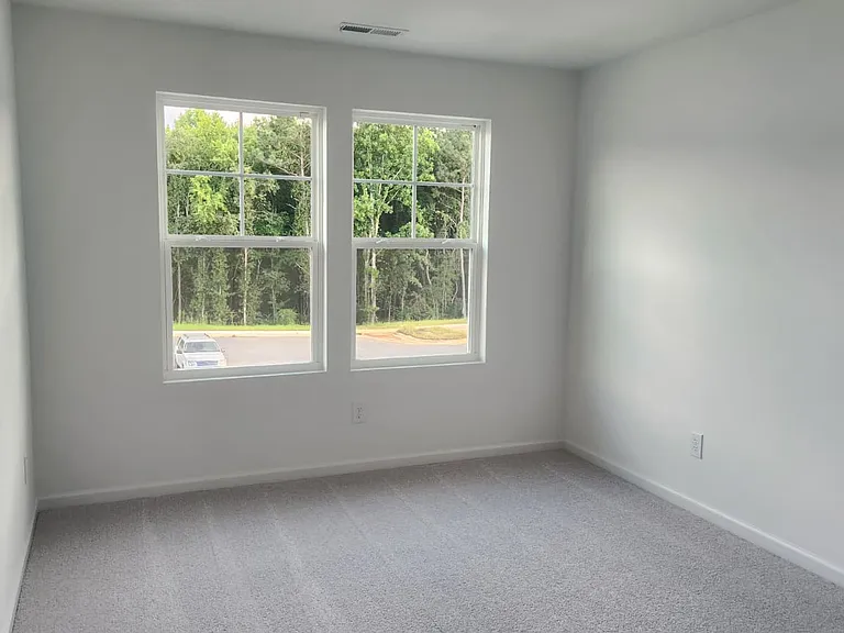 381 Thompson Overlook Way — Photo 11