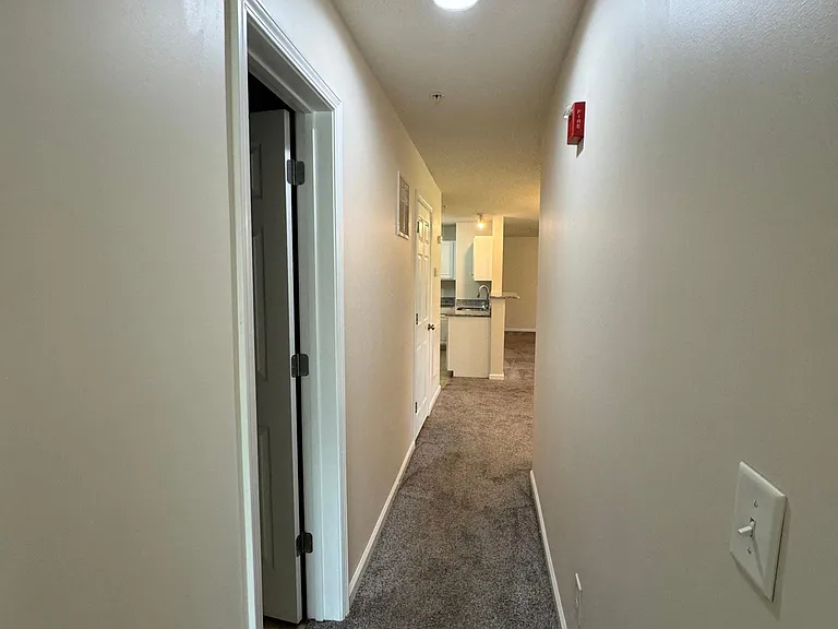 4306 Timberbrooke Dr #2C — Photo 20