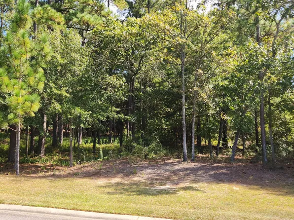 230 Birch Tree Cir, Aiken, SC 29803