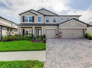 9542 Seagrass Port Pass, Wesley Chapel, FL 33545