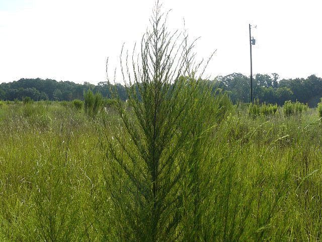 2nd image of 227 Rambo Mill Rd