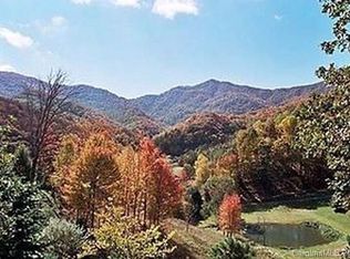 9999 S Turkey Creek Rd, Leicester, NC 28748