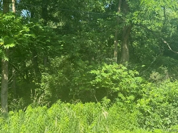 Wothe Freeman Rd Lot 14, De Ruyter, NY 13052