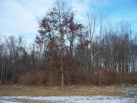 Riverby Woods