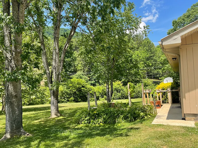 45 Brown Branch Rd — Photo 15