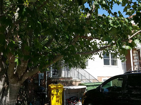 3rd image of 56 Tova Dr