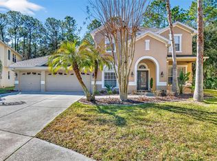 6604 Portland Oak Ct, Tampa, FL 33647