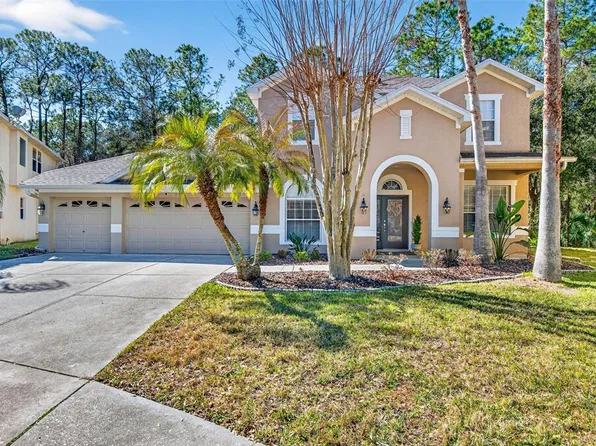 6604 Portland Oak Ct, Tampa, FL 33647