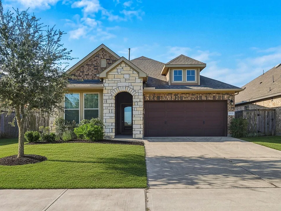 29919 Vallonea Oak