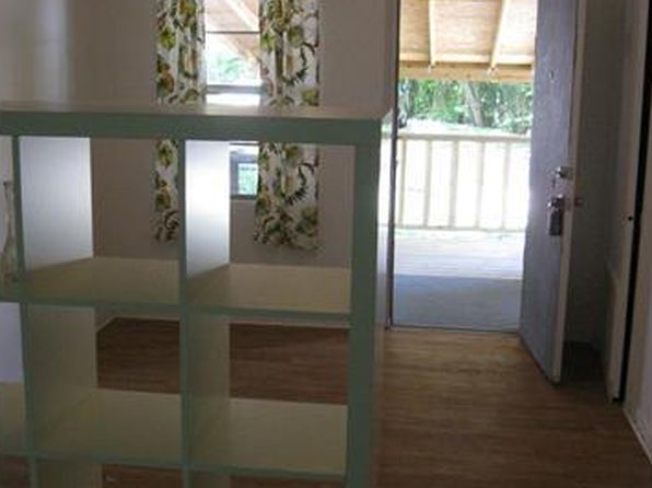 austin-texas-29409579 picture