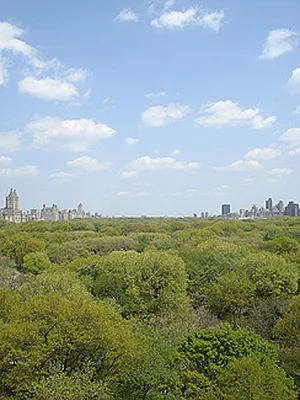 Sold by Saldo Properties | media 13