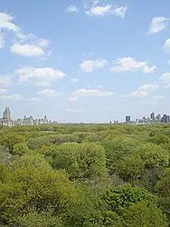 Sold by Saldo Properties