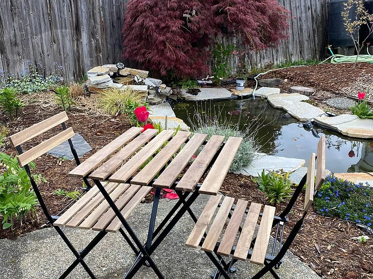 Backyard patio and pond