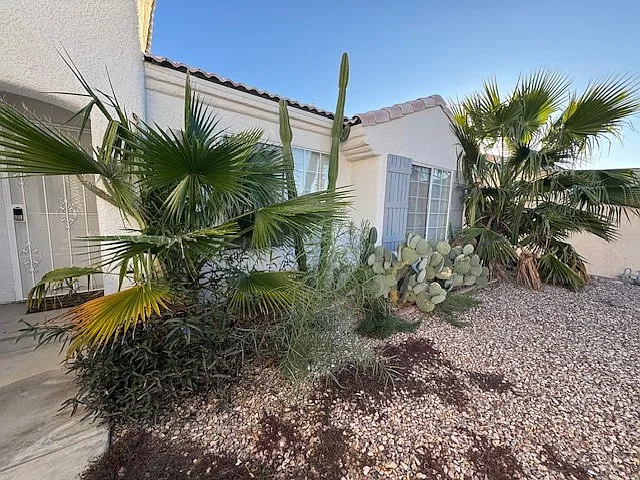 2952 Desierto Verde — Photo 5