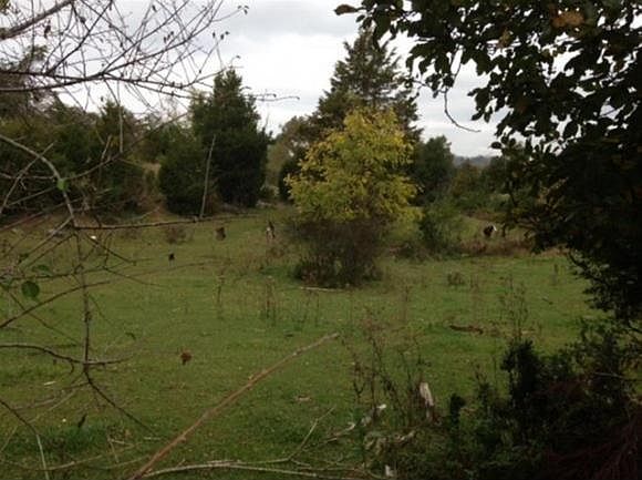 2nd image of 250 Droke Ln #&-260
