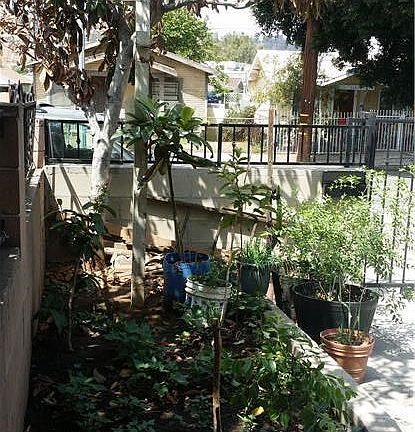 2nd image of 669 Cypress Ave