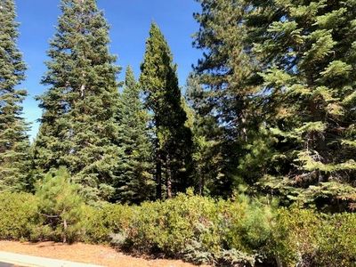 209 Fox Glen Dr, Westwood, CA, 96137
